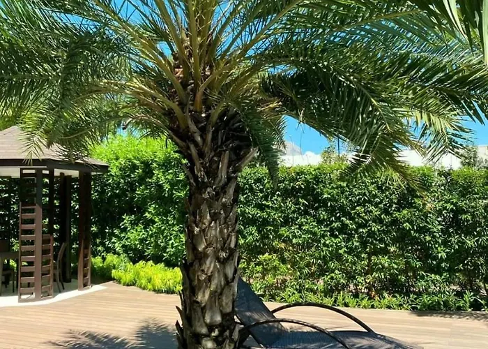 Terra Nueve Escape - 1br With Balcony Staycation Aparthotel